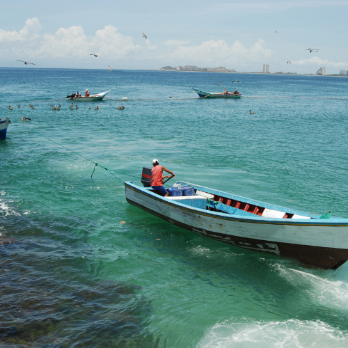 Diseño sin título - 2025-10-29T094218.961